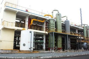 数字化转型的引擎 宁波石化经济技术开发区网络技术服务企业走访实录